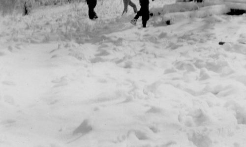 Times are Uncertain – Chris Lawson – USA