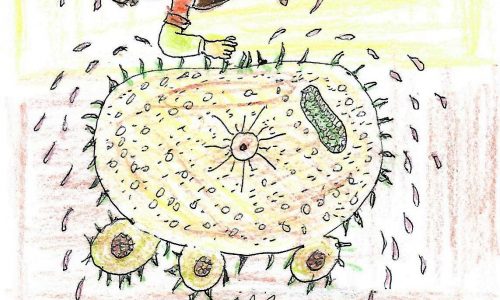 Visus Virus – Daniel de Culla – Spain